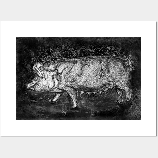 The Pig Drawing Wall Art by Raimondi